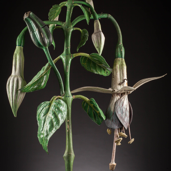 IES_SANISIDRO_MUSEO_Botanica_036