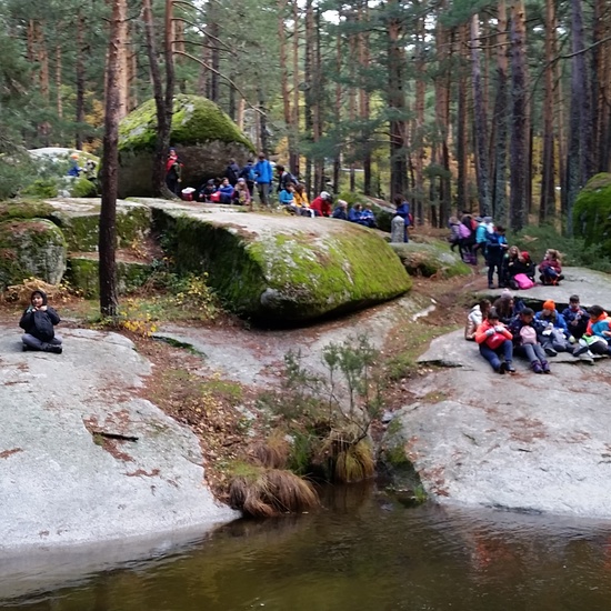 MANZANARES EL REAL 18