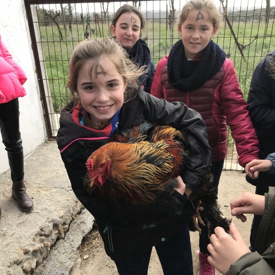 Granja Escuela “El Álamo” 3º y 4º EP_1 27