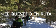 Raquetas en la nieve