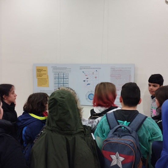 Día de la Mujer Científica (11-2-2024) (28)