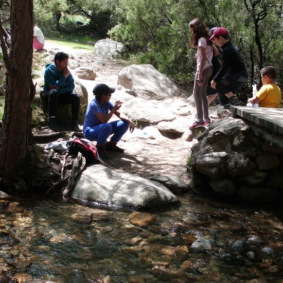 NIÑAS/OS DE 5º. NATURALEZA VIVA EN LA PEDRIZA. HOSTOS POR EL PLANETA 10