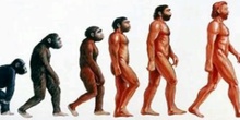 Homo Floresiensis