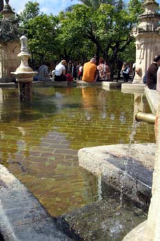 Fuente del Olivo en el Patio de los Naranjos, Mezquita de Córdob