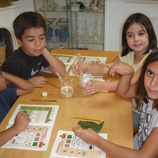 GRANJA TERCERA PARTE 3