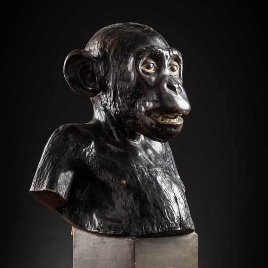 IES_SANISIDRO_MUSEO_Zoolgía_083