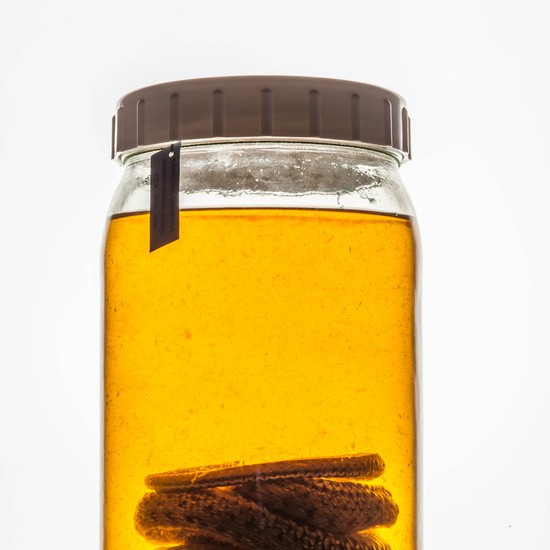 IES_CARDENALCISNEROS_CIENCIASNATURALES_281