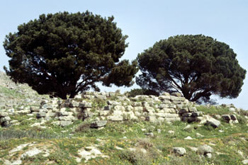 Altar de Zeus en Pérgamo, Turquía