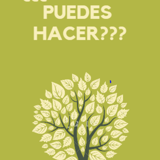 POSTERS MEDIOAMBIENTE 2