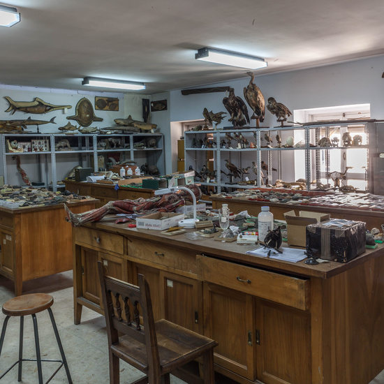 IES_SANISIDRO_EDIFICIO_036