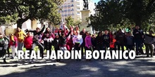 Sexto en el Jardín Botánico