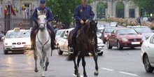Policía montada, Madrid