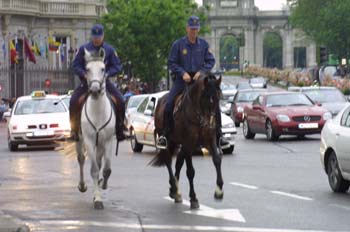 Policía montada, Madrid