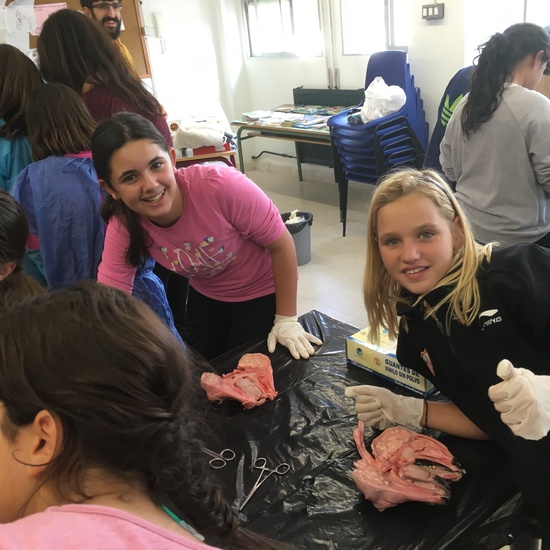 2016-11-09_DISECCION OJO CORDERO (17)