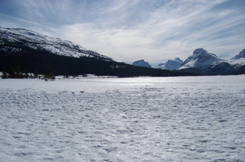 Lago Bow helado con el Pico Bow (2868 m) al fondo, Parque Nacion