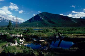 Humedal en las Montañas Rocosas