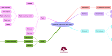 BIO_NIVELES DE ORGANIZACIÓN DE LA MATERIA_S3