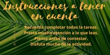 Instrucciones Tarea 5 Canva