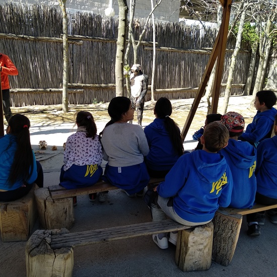 Arqueopinto 4º 19 23