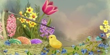 Pollitos y primavera