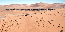 Sendero en el desierto, Namibia
