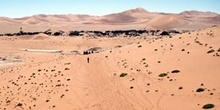 Sendero en el desierto, Namibia