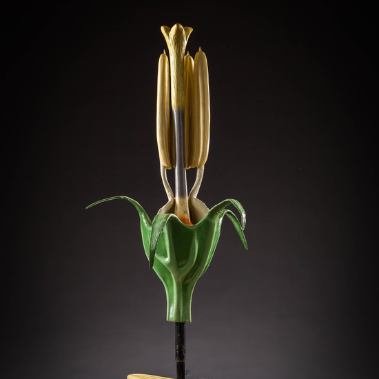 IES_SANISIDRO_MUSEO_Botanica_006