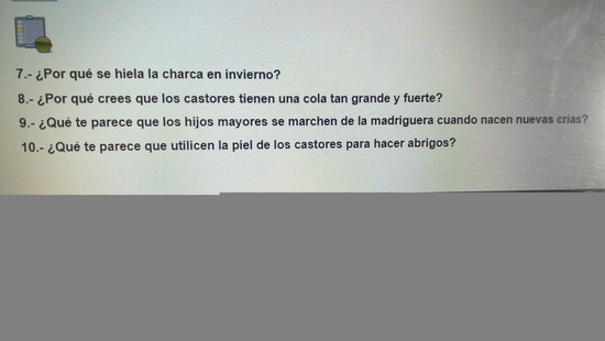 PREGUNTAS COMPRENSIÓN LECTORA 2