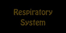 Respiratory system