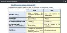 Tema 2.- Genética y Evolución. Mutaciones 04-11-2024