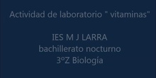 vitaminas ies m j larra bach noturno