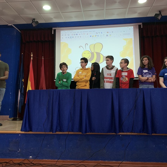 Spelling Bee 2019 13