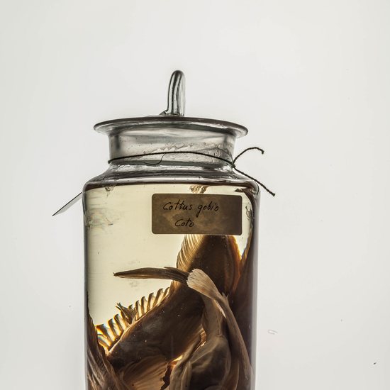 IES_CARDENALCISNEROS_CIENCIASNATURALES_162