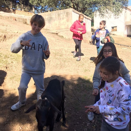 Mohernando 2017_4 11