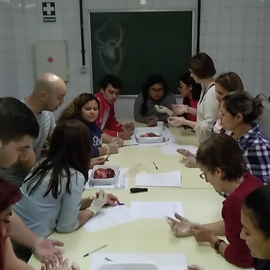 Jornadas Ciencia 2019_Disección (3)