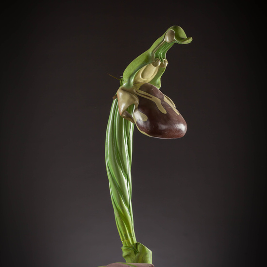 IES_CARDENALCISNEROS_BOTANICA_III_MODELOS_062