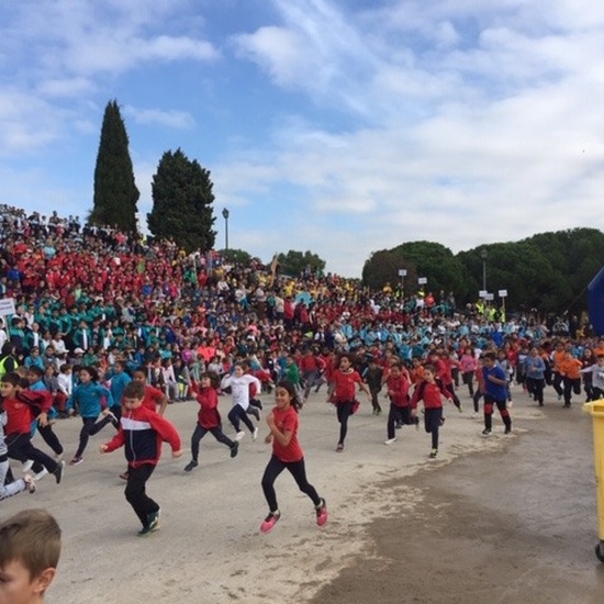 CROSS 18-19 . Parte 1 12