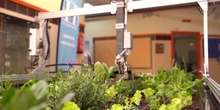 Huerto robotizado en el IES Humanes