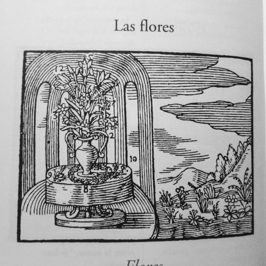 XIV FLORES