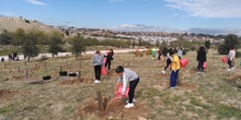 Plantación en el parque forestal de Valdebebas 2019 14