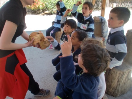 2017_04_04_Infantil 4 años en Arqueopinto 1 36