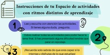 INSTRUCCIONES T5 CANVA