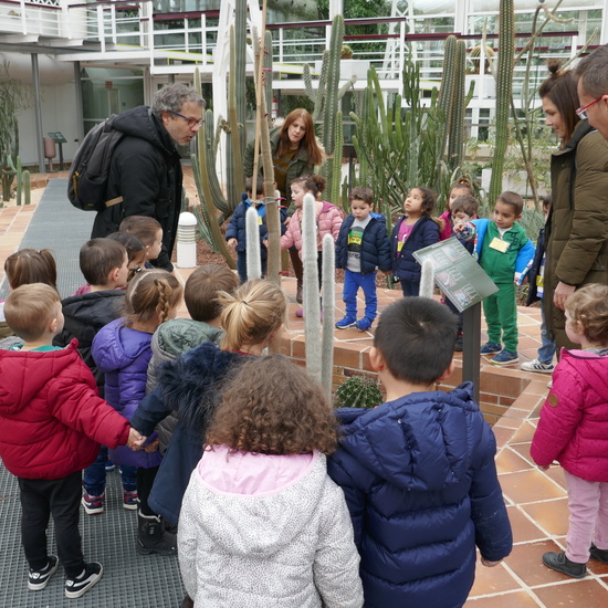 INVERNADERO DE ARGANZUELA 22