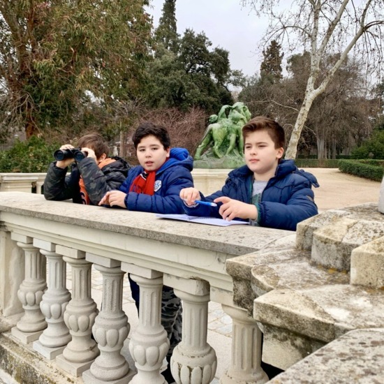 A ver aves - febrero 2020 - 04