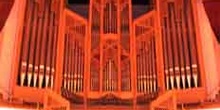 órgano