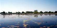 Laguna de Nenúfares, Botswana