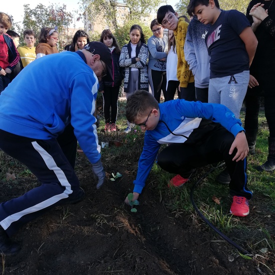 Huerto escolar 2019/20 1