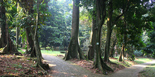 Vista general del Jardín botánico, Java, Indonesia