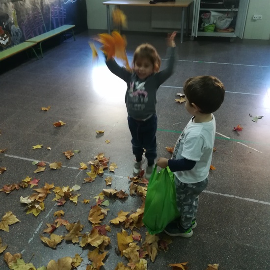 Día 05 de noviembre 28