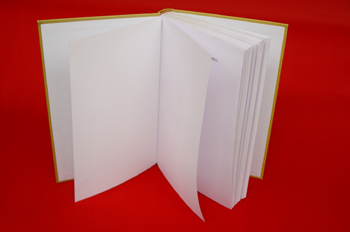 Páginas de cortesía